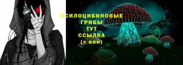 гидра Карталы