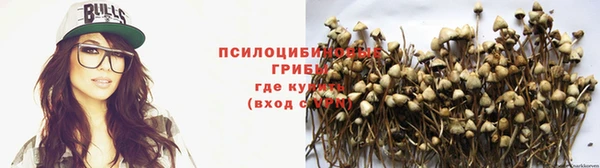 гидра Карталы