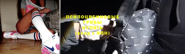 гидра Карталы