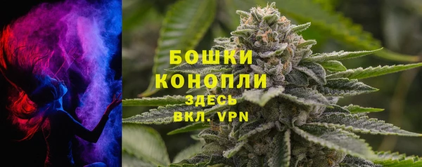 гидра Карталы