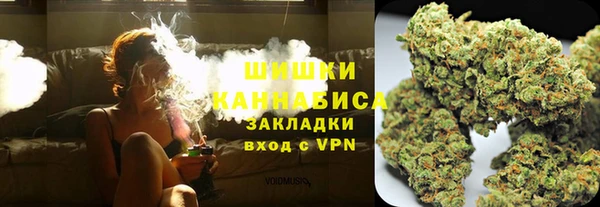 spice Карпинск