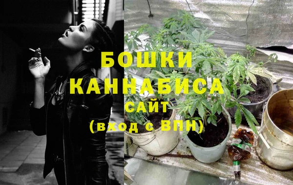 гидра Карталы