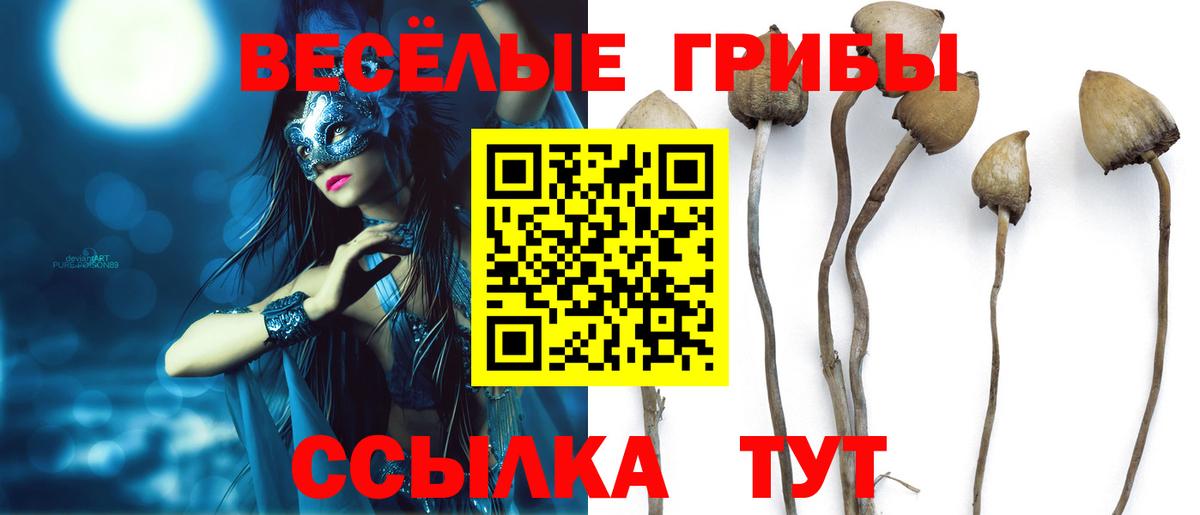 Псилоцибиновые грибы Cubensis  как найти наркотики  Семилуки  Вход с VPN 